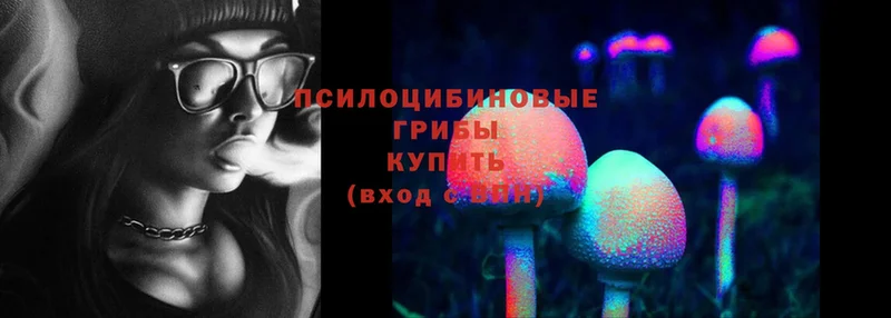 Галлюциногенные грибы Cubensis  Новоульяновск 